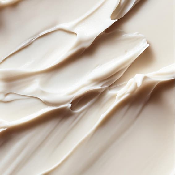 The Refresh (Founding Price) at SKIN THEORY in St Petersburg, FL